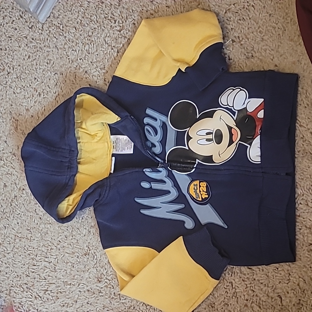 Mickey mouse zipper hoodie